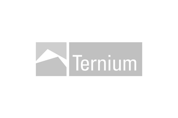 017-ternium